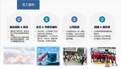 奧星集團(tuán)2020年招生簡章與專業(yè)輔助服務(wù)說明
